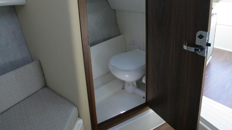 Marine toilet with holding tank